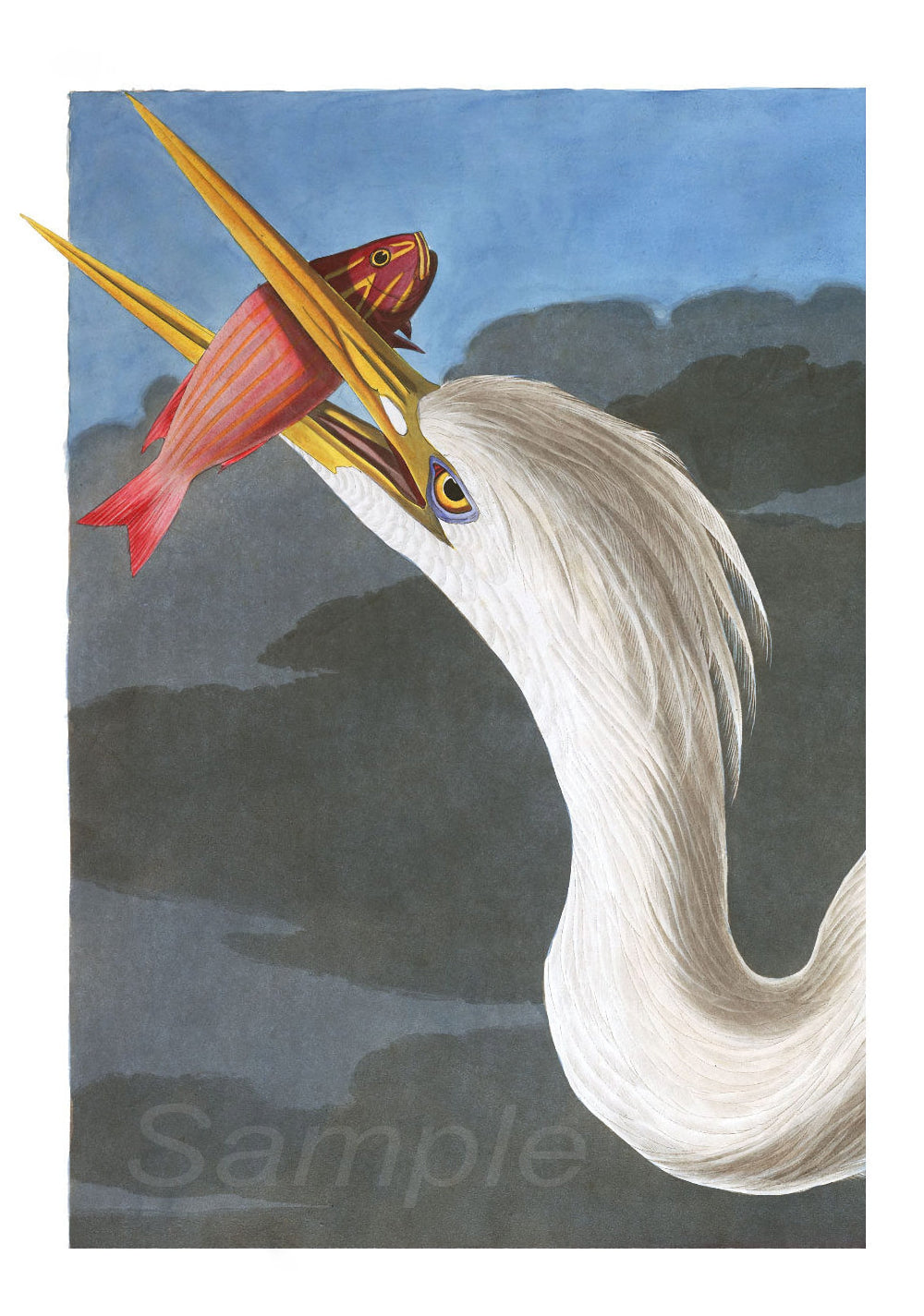 Illustration of a bird with a fish in its beak against a blue and gray background