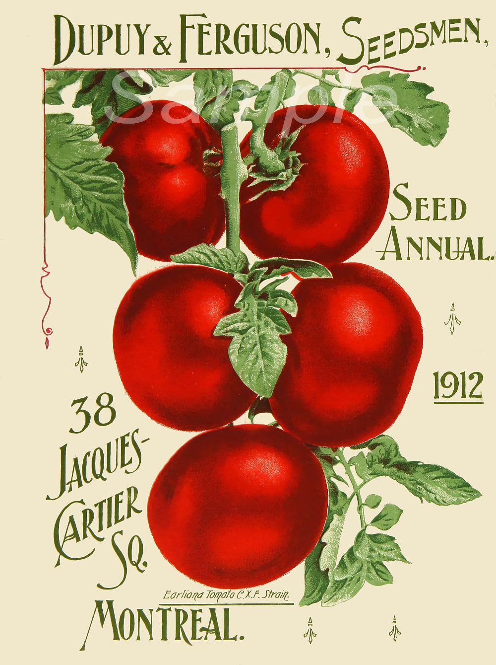 A vintage-style poster featuring a group of red tomatoes with green leaves, titled '38 Jacques Cartier Sq. Montreal' and dated 1912.