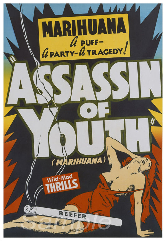 Vintage style movie poster for 'Assassin of Youth' featuring a woman in a provocative pose with marijuana leaf motifs, and text including 'MARIJUANA', 'A PARTY-TRAGEDY', and 'THRILLS'.
