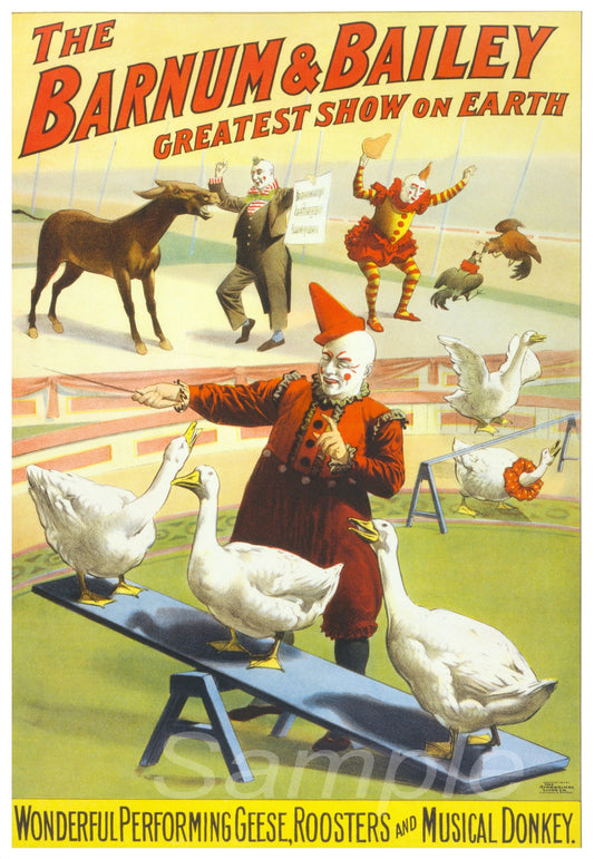 Vintage advertising poster for Barnum & Bailey Circus featuring a colorful illustration of a man with a red hat directing geese, horses, and clowns on a field.