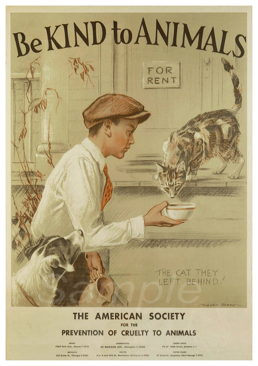 Vintage style poster featuring a boy feeding a cat, with the text 'BE KIND TO ANIMALS' and 'THE AMERICAN SOCIETY PREVENTION OF CRUELTY TO ANIMALS'.