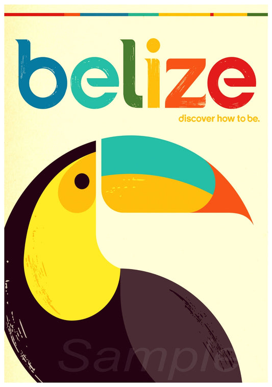 A vintage style travel poster print featuring the name 'Belize' alongside an illustration of a toucan with a colorful beak.