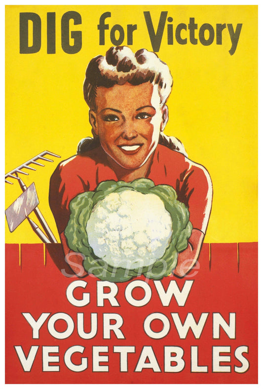 A vintage style poster with a yellow background featuring a young girl in a red dress holding a cabbage, with text that reads 'DIG for Victory GROW YOUR OWN VEGETABLES'.