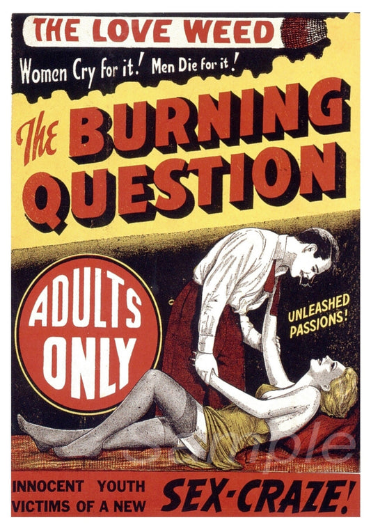 Vintage style movie poster featuring a man and a woman with text that includes 'The Love Weed' and 'The Burning Question'