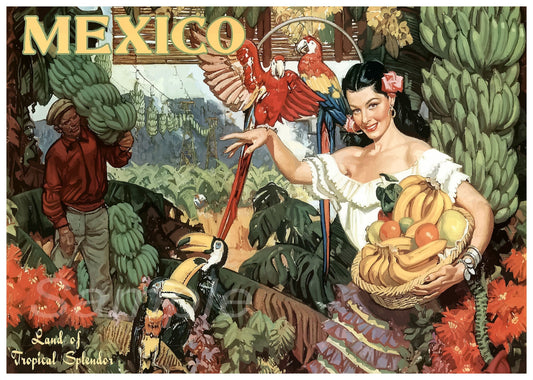 A vintage travel poster depicting a colorful illustration of a woman with a parrot on her shoulder, surrounded by tropical plants and fruit, with the text 'Mexico' at the top.