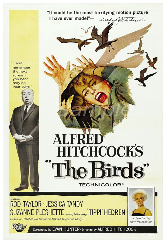 Vintage movie poster print of 'The Birds' by Alfred Hitchcock, featuring a woman's face in a halftone dot pattern with birds flying around her.