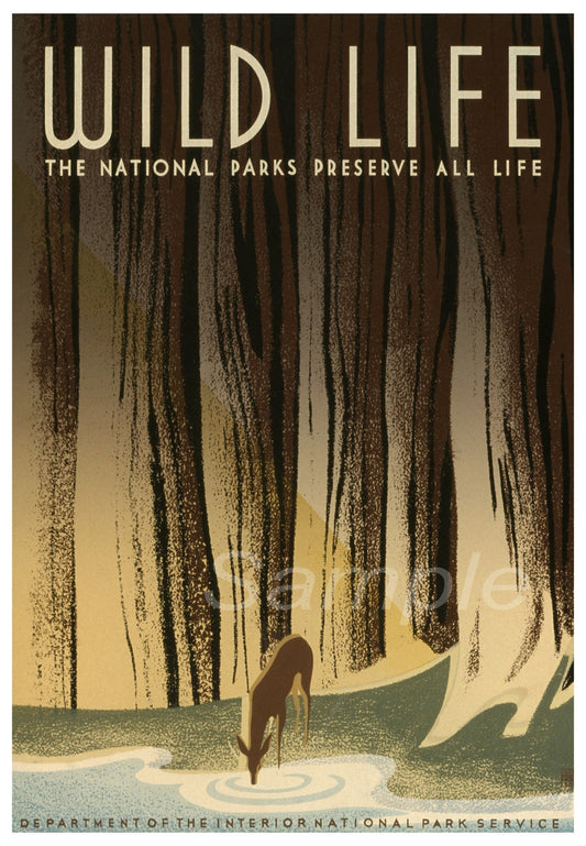 A vintage style travel poster depicting a forest scene with a deer, titled 'Wild Life The National Parks Preserve All Life'.