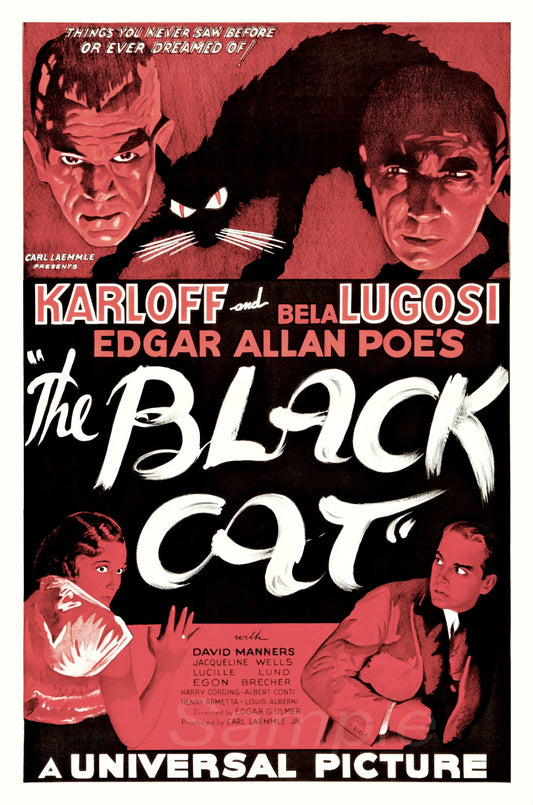 Vintage movie poster for 'The Black Cat' featuring illustrations of characters and a cat, with red and black color scheme.