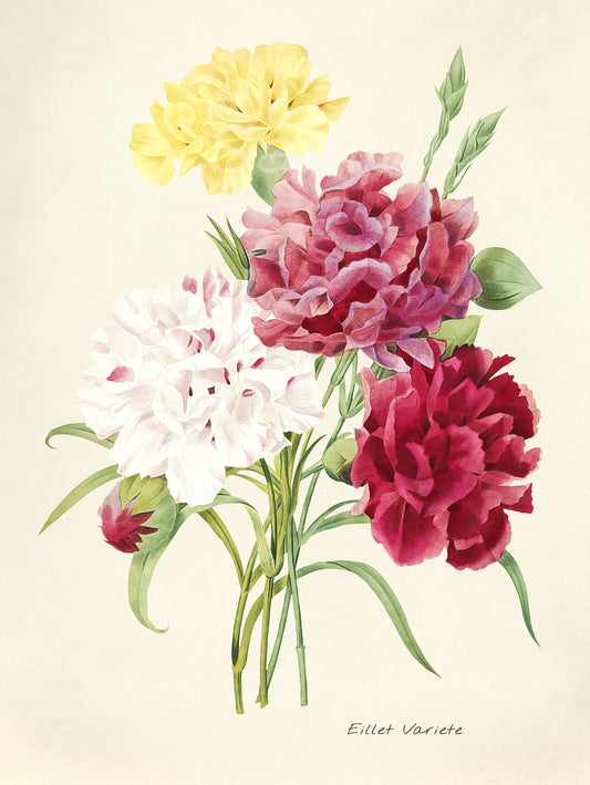 A vintage style poster print featuring a group of illustrated flowers in various colors including yellow, pink, and red.