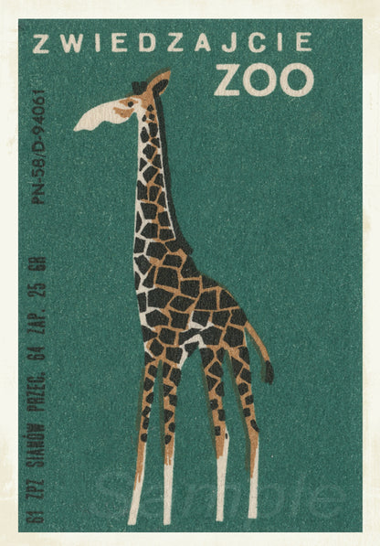 Giraffe illustration on a green background with text